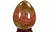 Colorful, Polished Petrified Wood Egg - Triassic #107386-1